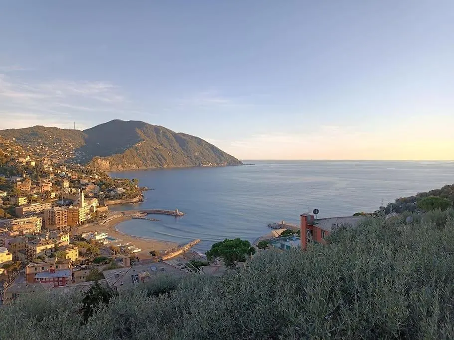 Apartmán A Dream Codice Citra 010047-Lt-0161 Recco