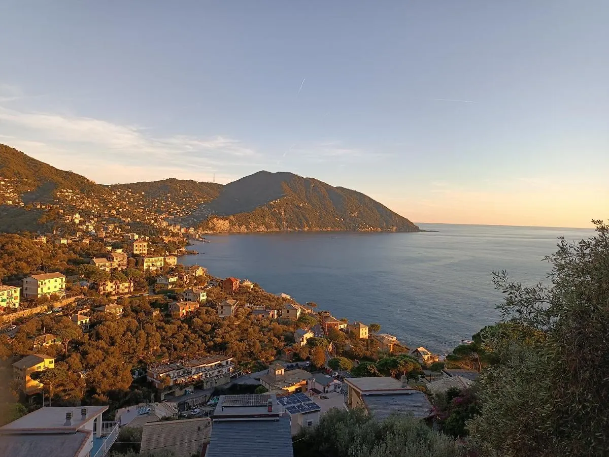Apartmán A Dream Codice Citra 010047-Lt-0161 Recco