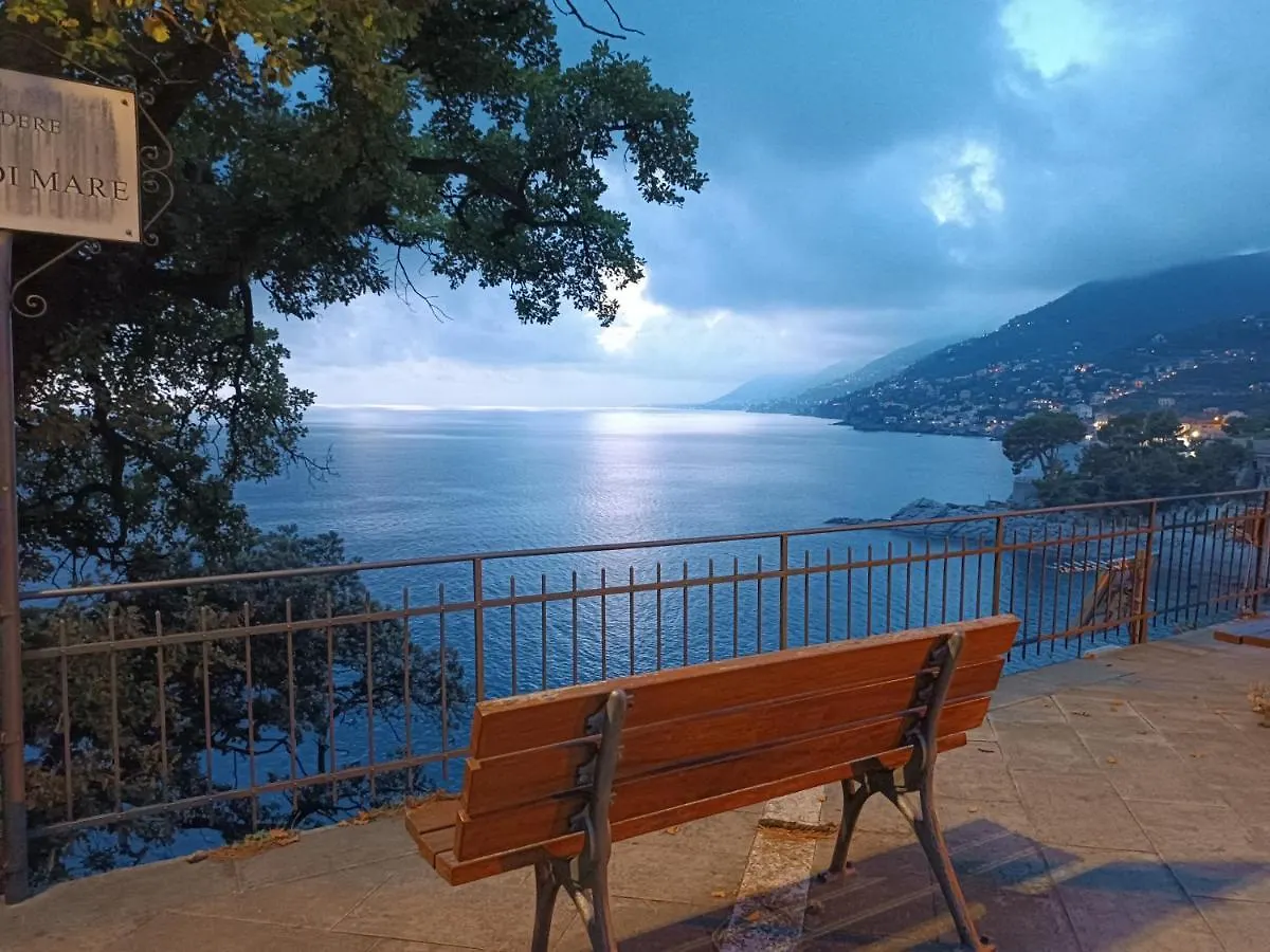Appartamento A Dream Codice Citra 010047-Lt-0161 Recco